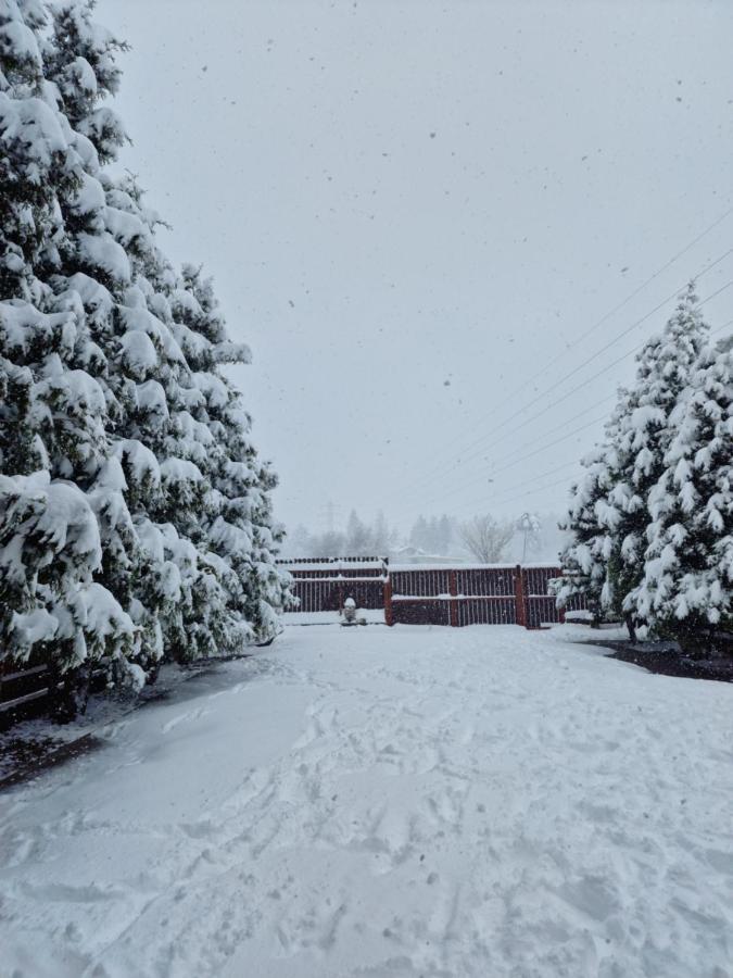 Holiday home Bunloc House Brasov